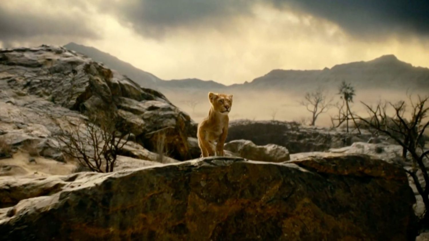 ‘Mufasa: Il re leone, arriva il sequel live action